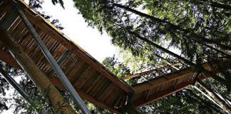 Przejda koronami drzew