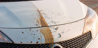 Samochod sam sie umyje