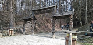 Skamieniale Miasto platne