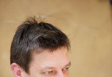 Tomasz Gawron Blackbird