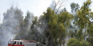 W lasach sucho i latwo o pozar