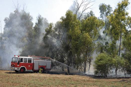 W-lasach-sucho-i-latwo-o-pozar.jpg W lasach sucho i latwo o pozar