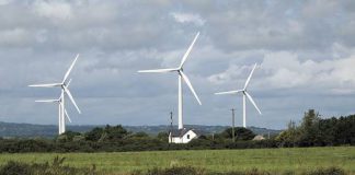 Wiatraki w Przybyslawicach