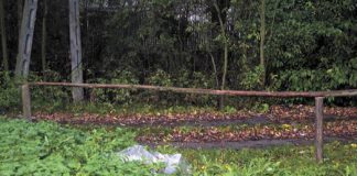 Zakaz wjazdu do domu