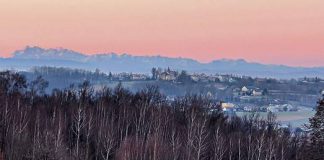 Zalasowa osiedlowa kraina