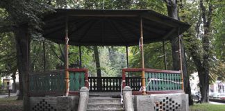 altanaPlantySalinarne