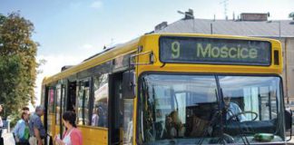 autobusy bezplatnie