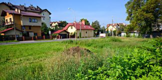 barszcz ul Romanowicza