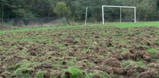 boisko w szczepanowie