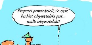 budzet obywatelski