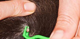 Na co chorujemy latem