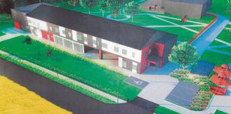 dwudniaki wizualizacje