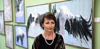 galeria hortar Mizia