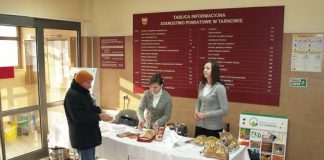 grochowka w starostwie