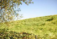 iwona cygan sledztwo