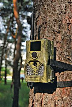 kamery-w-lesie.jpg kamery w lesie