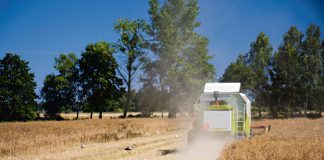 komu dokuczyla susza