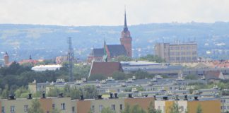 koszmarki
