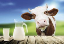 Mleko? Tak, ale… krowa mleko