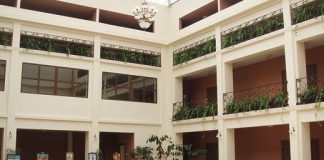 kultura wierzchosalwice