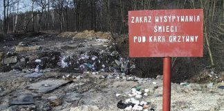 lasy zasmiecanie