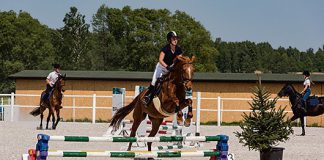 odporyszow osrodek jezdziecki