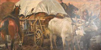 panorama siedmiogrodzka