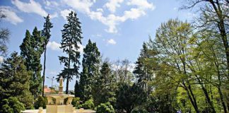 park strzelecki rewitalizacja