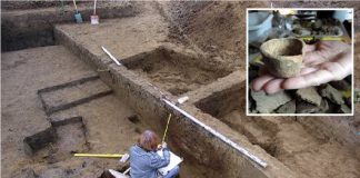 pasieka archeolodzy odkrycie