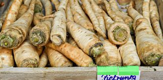 Ceny pietruszki opadły, ale i tak są najwyższe od lat