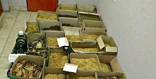 produkowali papierosy