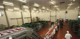 Mrożenie w Rząchowej