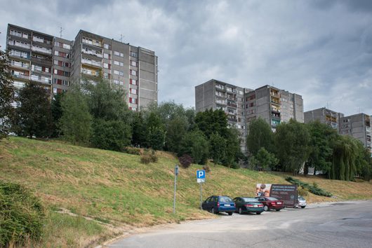 Przestaniemy kosić trawniki? | fot. Tadeusz Koniarz skarpa trawnik