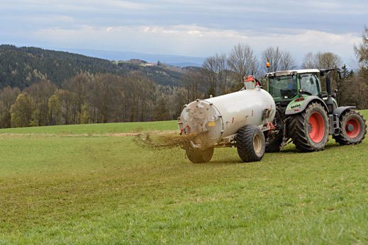 Wystarczy, aby którykolwiek rolnik nawiózł usytuowane pod Tarnowem pole uprawne kurzenicą, czyli naturalny nawozem kurzym, aby w dużej części miasta śmierdziało solidnie przez kilka dni smrod w tarnowie