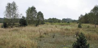 strefa gospodarcza zamiast lotniska