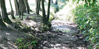 tegoroczna susza Ulga