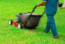 Prezydent wstrzymał koszenie traw trawa