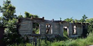 wlasciciel sie nie znalazl