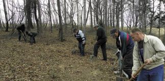 zalesianie nieuzytkow