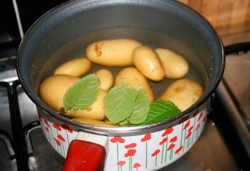 ziemniaki.jpg ziemniaki