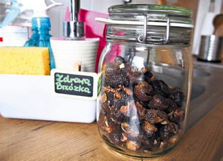 Plan zdrowych zmian na 2020 – część pierwsza zmiany