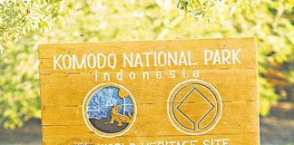 Park Narodowy Komodo