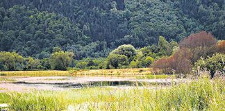 rozlewiska ossiachsee