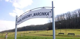 park biegowy marcinka