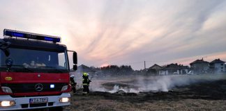 wypalanie traw osp szczucin