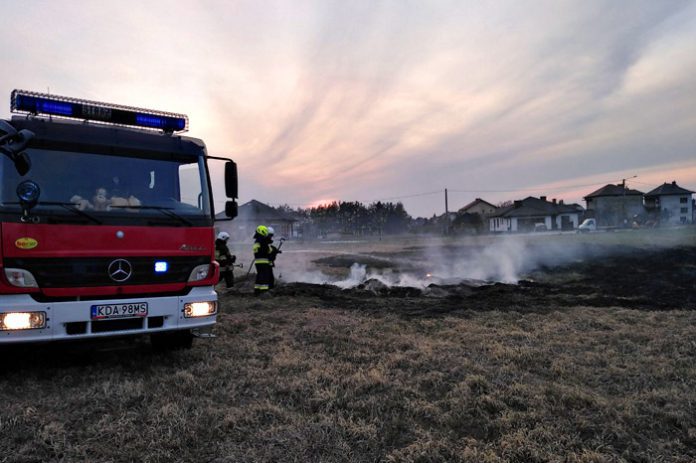 wypalanie traw osp szczucin