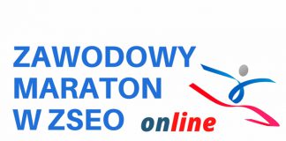 Zawodowy Maraton