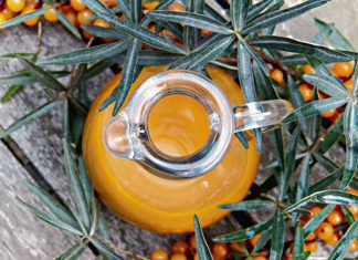 Rokitnik, czyli roślinne złoto Syberii Rokitnik