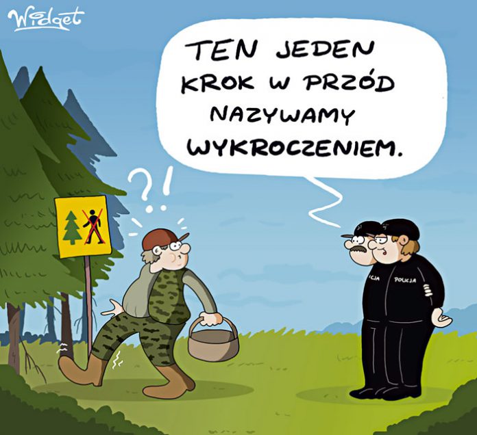 tarnow policjanci wykroczenie