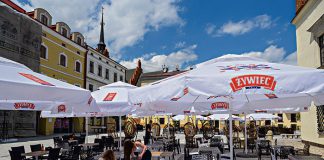 gastronimia dezynfekcja